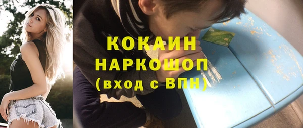 гидра Аркадак