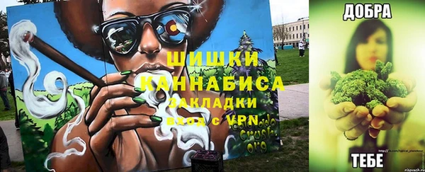 гидра Аркадак