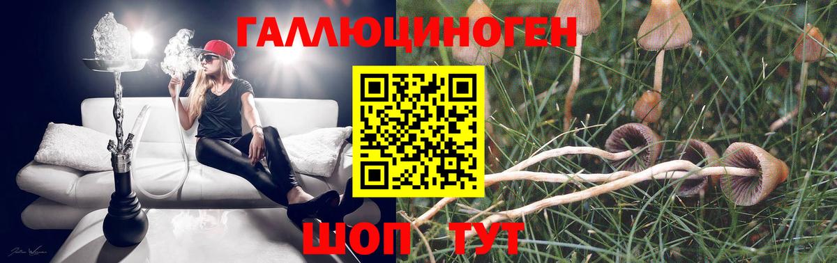 Белорецк  Галлюциногенные грибы Magic Shrooms  купить  сайты  Вход с VPN 